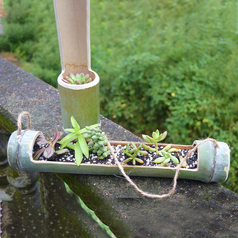 花盆竹筒园艺创意个性竹木花瓶绿植花卉手工环保幼儿园桌面竹吊篮
