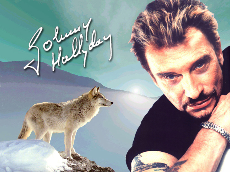 johnnyhallyday男人狼太阳钻石画