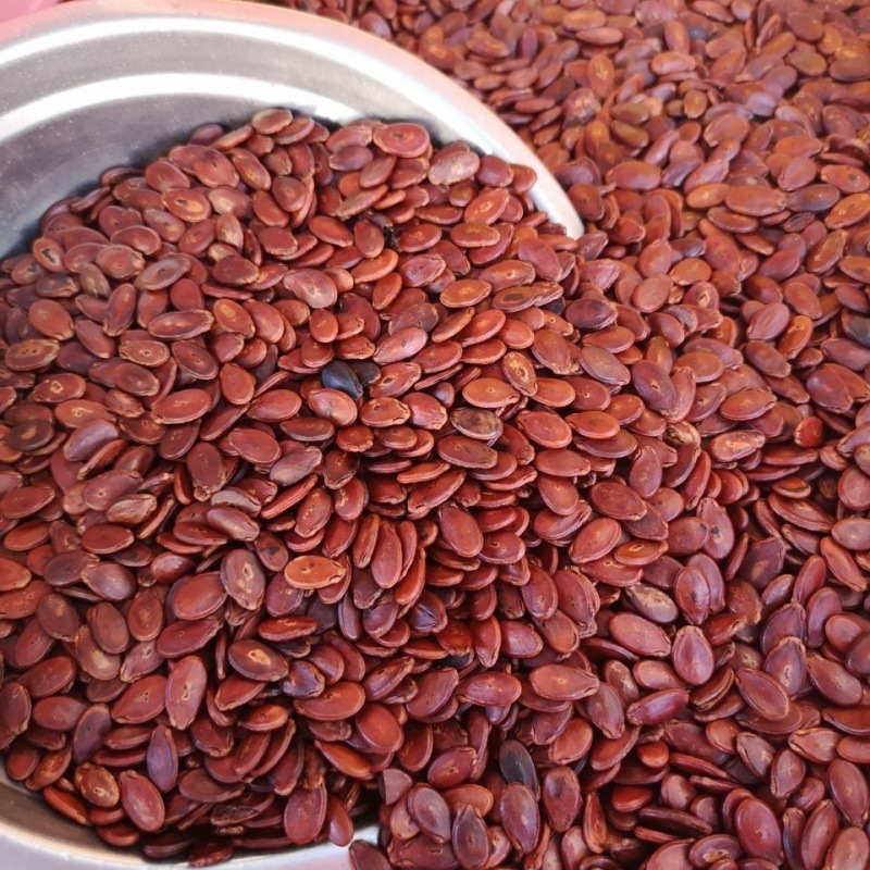 南雄特产红瓜子粤北韶关特色零食炒西瓜子婚庆大粒瓜子熟的500g