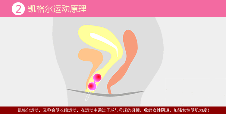 缩 阴球阴道哑铃聪明球女用凯格尔球成人情趣用品外贸自慰器批发