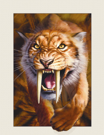 厂家直销库存现货pet三维高清立体画3d/5d画芯装饰画/老虎立体画