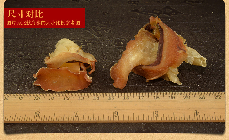 红螺肉深海大鲍螺 海螺头肉 原只响螺 淡干渔民船晒 酒店食材500g
