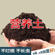 营养土 泥炭土种花种菜花通用型菜花1卉盆栽辣椒番茄瓜果一件代发