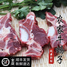 溥畔新鲜带肉牛蝎子5斤 牛脊梁骨 牛大骨 牛骨头 另有新鲜牛肉牛