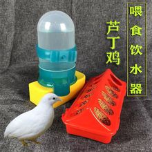 芦丁鸡养殖 喂食器 防撒 食盒  饮水 器小鸡鹌鹑自动喂食沉沉