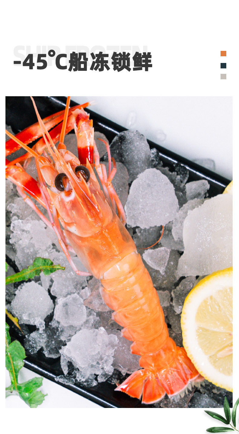 舟山海鳌虾新鲜深海鳌虾刺身甜虾海螯虾熬虾海鲜东海熬虾鲜活批发