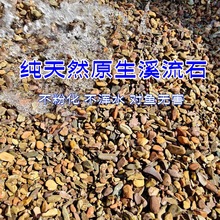 鹅卵石天然五彩石子盆栽铺面原生鱼缸过滤造景底砂溪流石现货批发