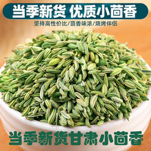 甘肃民勤特级小茴香颗粒种子小茴香粉调料小回香籽香料批发商用