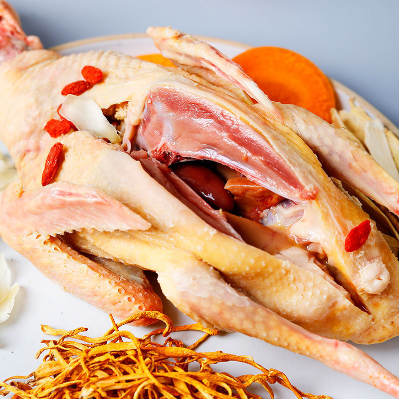 05成交15克鸽子十只顺丰乳鸽新鲜现杀乳鸽便宜元宝鸽批发肉食鸽散养