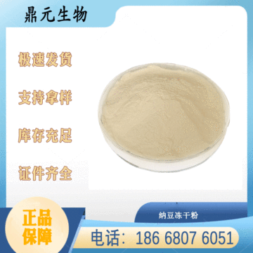 现货供应  纳豆激酶粉 纳豆冻干粉 纳豆提取物纳豆菌粉纳豆粉