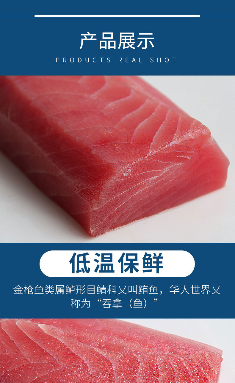 金枪鱼刺身新鲜寿司专用整条生鱼肉吞拿鱼商用鲔鱼料理4a级金昌鱼