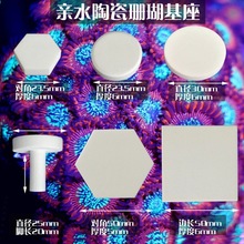 珊瑚繁殖基座造景纽扣断肢T型托盘sps水珊瑚陶瓷底座六边形培育