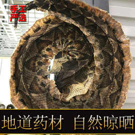 中药材蝮蛇