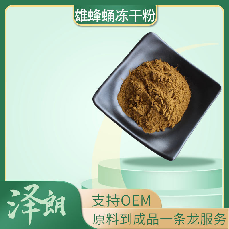 雄蜂蛹冻干粉雄蜂蛹提取物雄蜂蛹粉中药原料粉现货产地