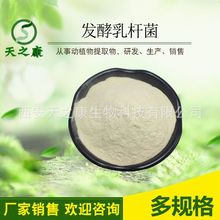 发酵乳杆菌100亿cfh/g 冻干乳酸菌 益生菌发酵粉益生菌粉大量现货