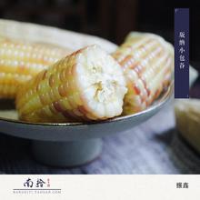 南拾壹|西双版纳小包谷 囤菜软糯小玉米清甜新鲜轻食