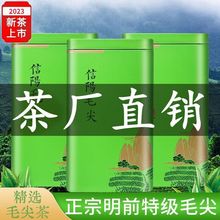 特级毛尖2023新茶叶明前信阳绿茶手工嫩芽春茶高山浓香型绿茶罐装