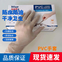 蓝帆一次性PVC手套无粉透明检查手套多用途家用美容100只清洁护理
