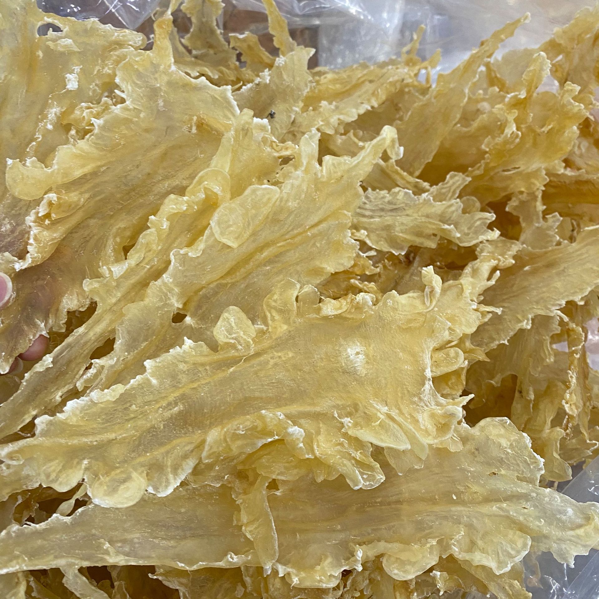 【鳕鱼胶】新西兰鳕鱼胶 深海鱼肚花胶干货25头35-38头50- 110头