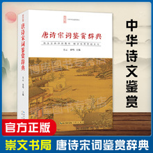 正版 唐诗宋词鉴赏辞典唐诗宋词鉴赏唐诗宋词三百首中国古诗词 李