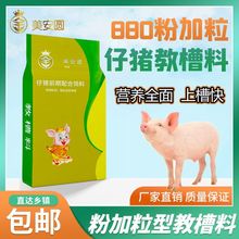 美安圆粉加粒教槽料880断奶乳猪小猪开口料仔猪颗粒饲料发到乡镇