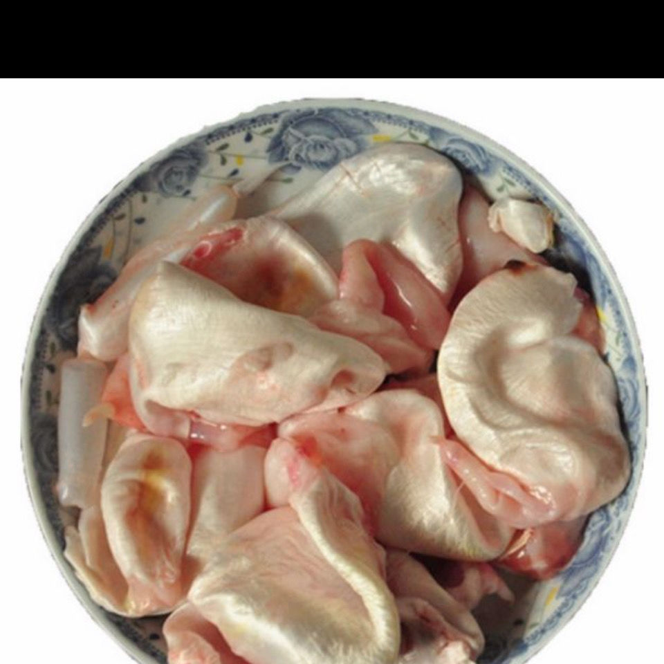 新鲜鲤鱼鱼泡鱼白鱼籽鱼卵鱼鳔鱼肚活鱼现杀冷链包邮