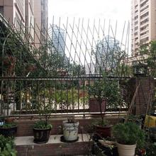 包塑钢管爬藤植物支架庭院阳台户外支柱黄瓜豆角葡萄架支撑杆