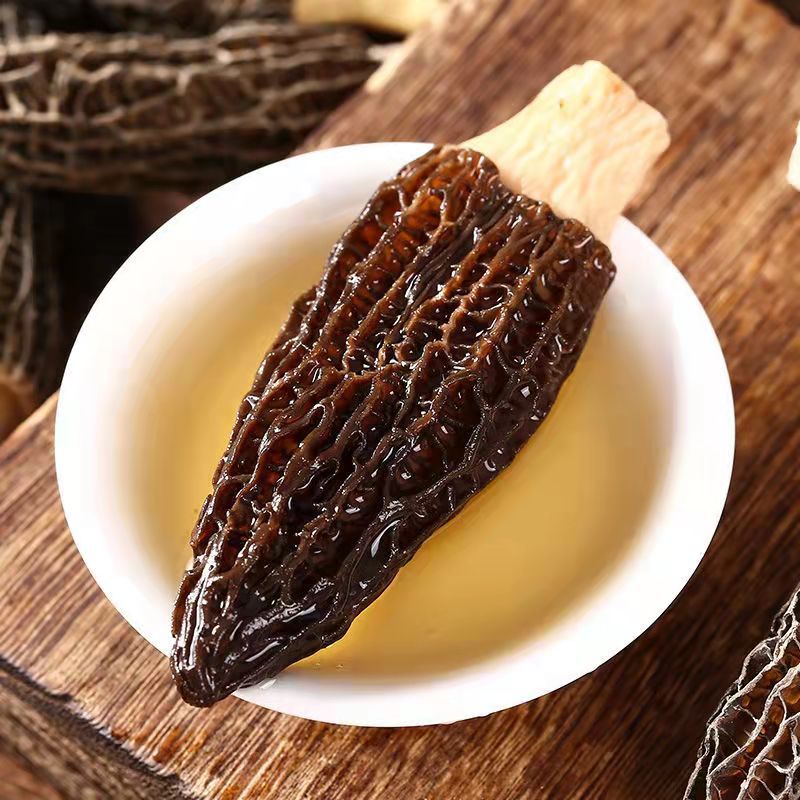 云南羊肚菌500g餐饮生鲜3~6cm剪柄羊肚菌干货 一件代发煲汤食材