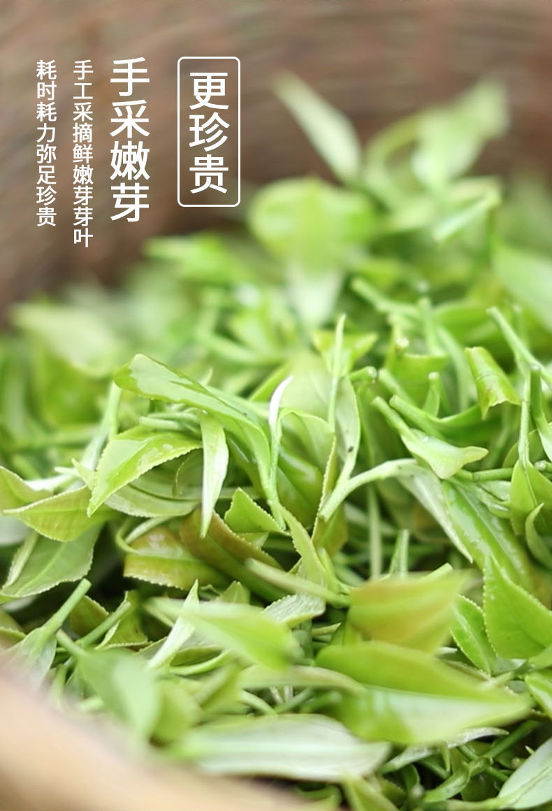 侗美仙池翠芽绿茶2022新茶叶广西三江茶明前嫩芽浓香型小泡袋装