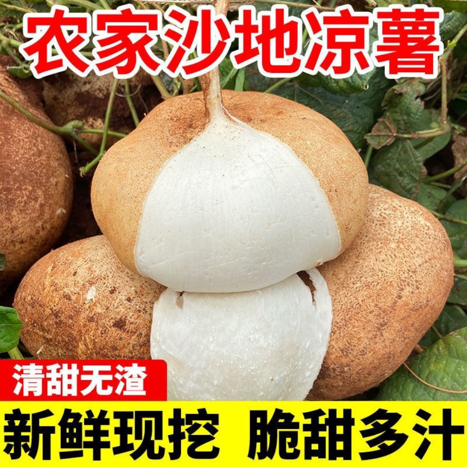 【湖北地瓜】-湖北地瓜厂家,品牌,图片,热帖-阿里巴巴