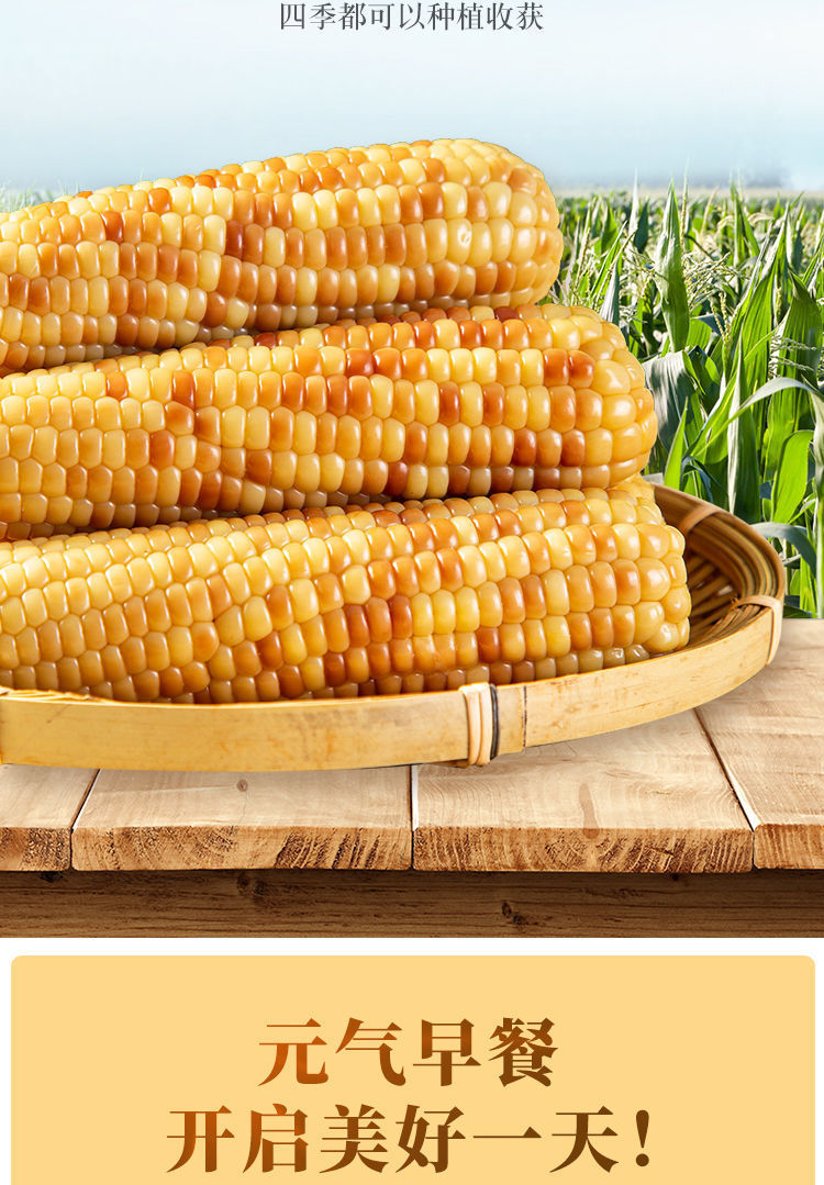 云南版纳香甜糯小玉米即食包谷新鲜真空小花粘玉米早餐粗粮
