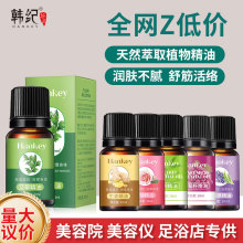 韩纪艾草精油10ml生姜薰衣草玫瑰精油美容院刮痧按摩精油批发代发