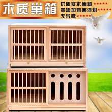 鸽子用品用具组合巢箱信鸽配对笼赛飞实木笼子木质鸽笼支持