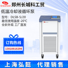 郑州长城科工贸DLSB-5/20A/B/C低温冷却液循环泵实验室100/30浴槽