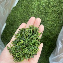 2025新茶四川小叶苦丁茶嫩芽嫩叶青山绿水散装批发小芽苞花草茶叶