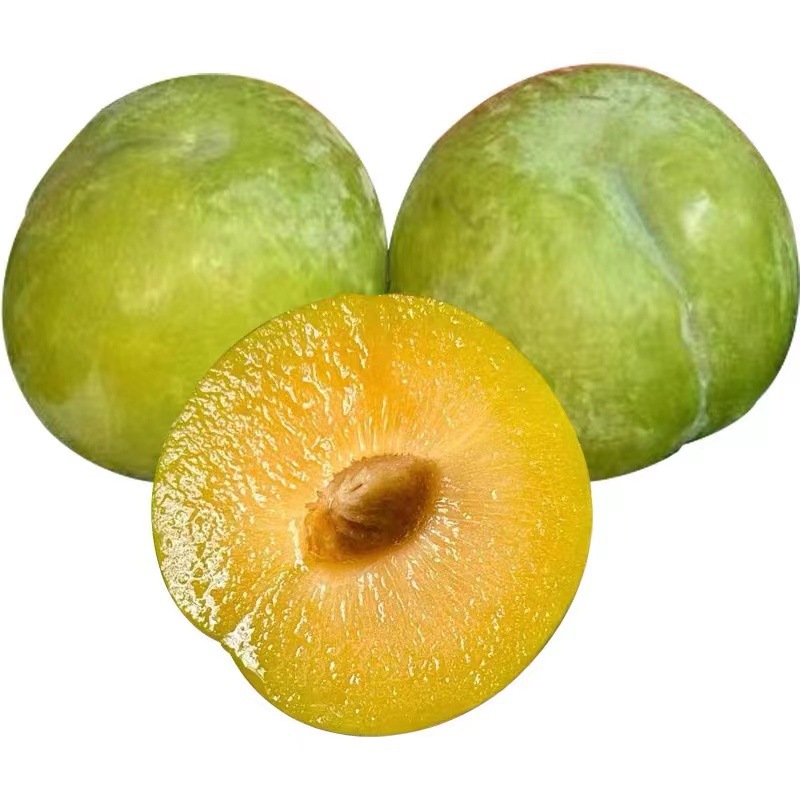 贵州蜂糖李现摘现发产地直发大果5斤装整箱蜂糖李一件代发