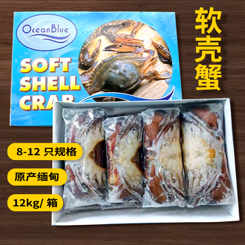 现货活冻缅甸软壳蟹软青蟹海鲜8-12头1kg装现货餐厅酒店批发-阿里巴巴