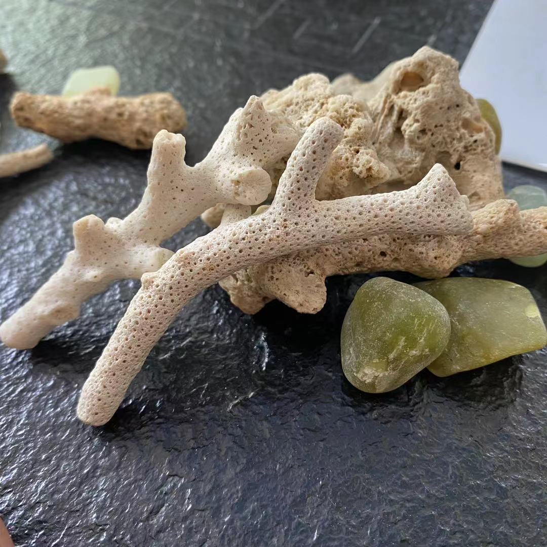 现货供应 珊瑚石 珊瑚骨 水族鱼缸鱼池海洋馆过滤材料用珊瑚沙