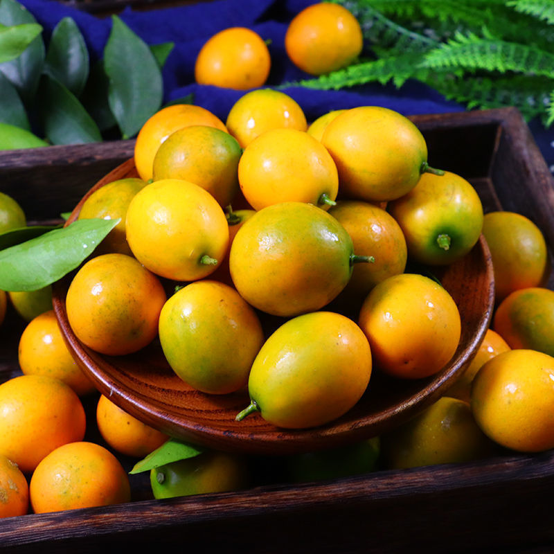 桂林脆皮金桔5斤广西滑皮金桔新鲜水果当季砂糖橘子柑桔整箱2/3斤