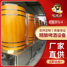 精酿啤酒发酵罐啤酒设备生产线设备啤酒机械酿造生产500升一拖四