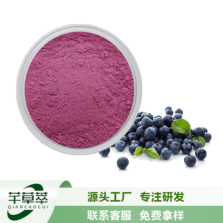 源头工厂蓝莓提取物蓝莓花青素冻干粉果粉天然粉果汁粉食品级