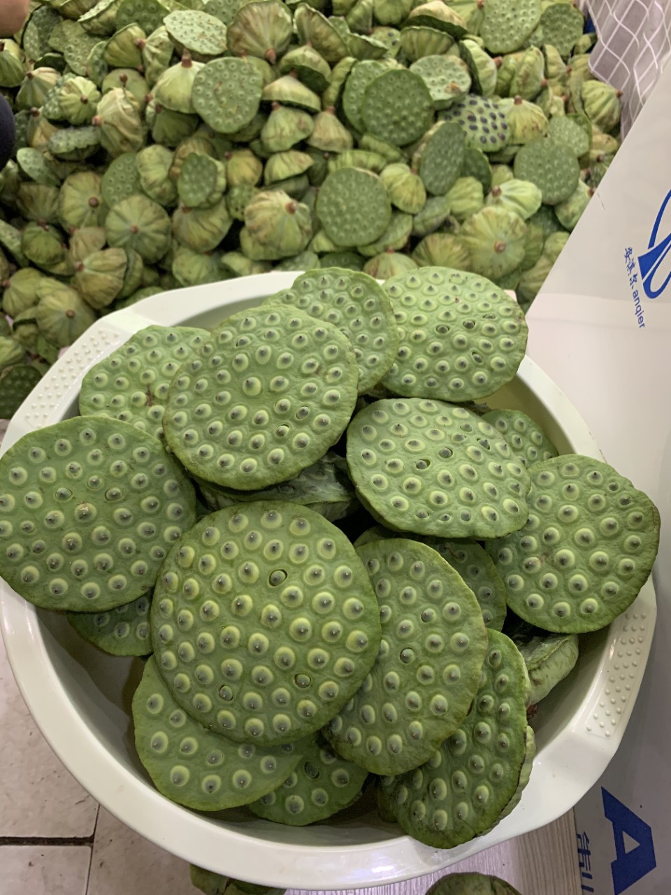 大莲蓬多籽丰产良种莲子藕种一年种植多年收免费种植技术指导