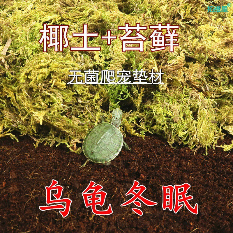 Natural Four-in-One Turtle Winter Sleeping Soil Brazilian Turtle Cushion Turtle Winter Warm Supplies Climbing Pet Incubation Coconut Soil Sand