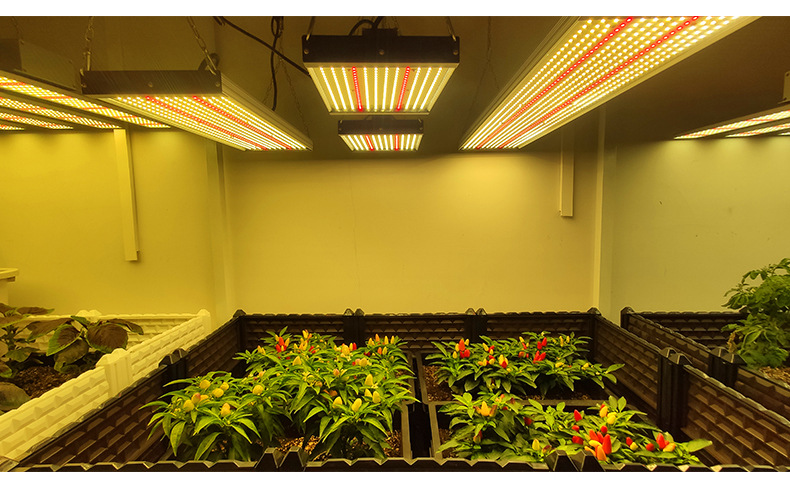 新款led植物灯生长灯室内补光灯花卉盆栽灯多肉台灯