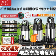 家用小型直流潜水泵电瓶车抽水机农用12V24V48V60V72V