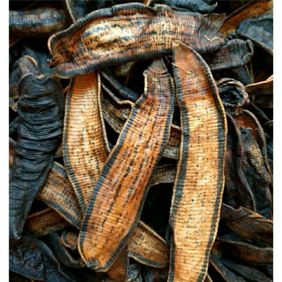 【国舜堂】产地货源现货中药材批发供应蚂蟥【清水吊干水蛭】062