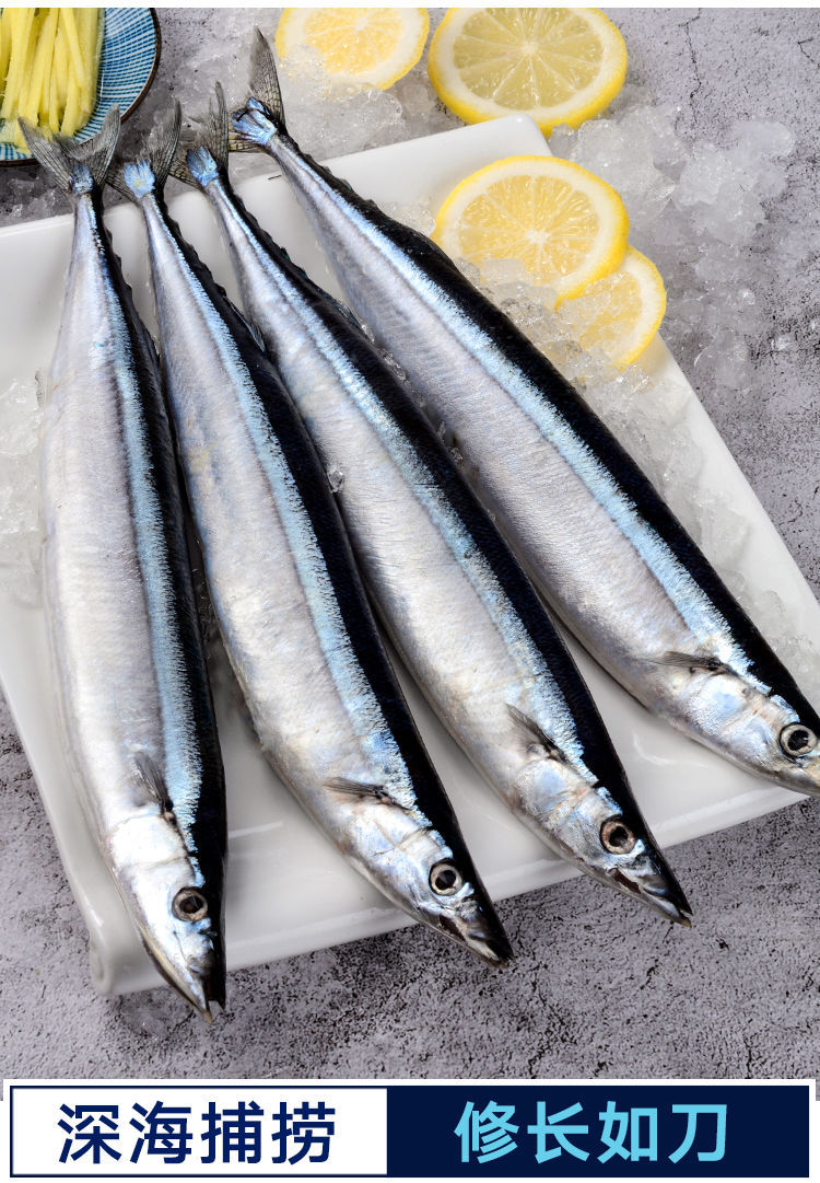 秋刀鱼 鲜 新鲜冷冻深海海鲜烧烤食材日式秋刀鱼鲜活水产海鱼