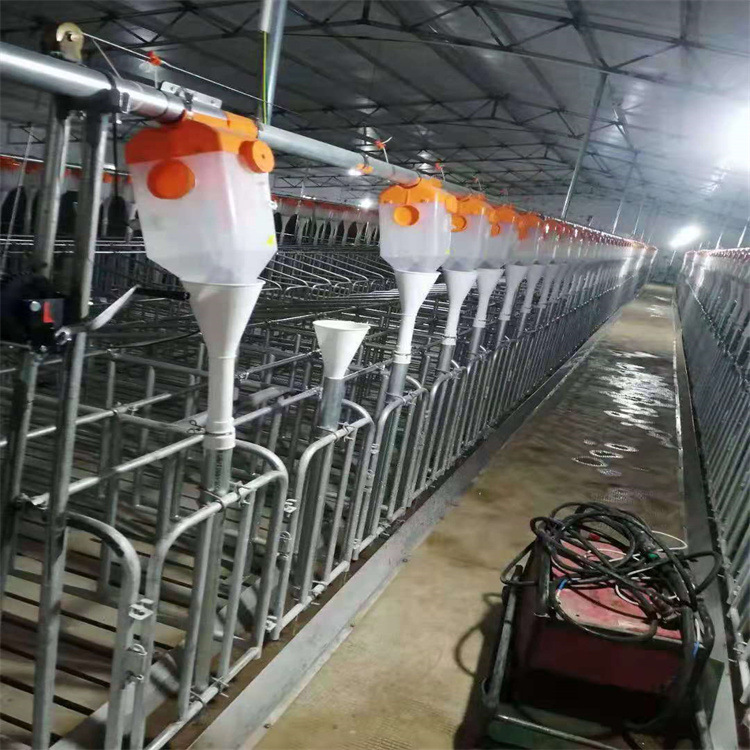 养猪设备 自动化猪场饲喂设备 福宇养猪场专用设备