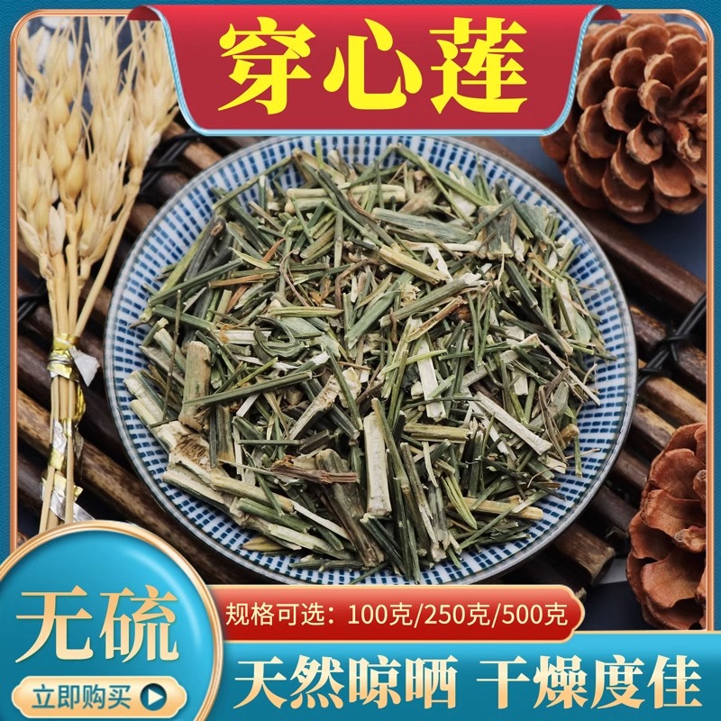 穿心莲川心连穿心连四方莲500g克包邮中药材穿心莲包邮苦口良药