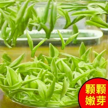 2024新茶【头采珍稀白茶】特级白茶毛峰浓香型黄金芽罐装礼盒